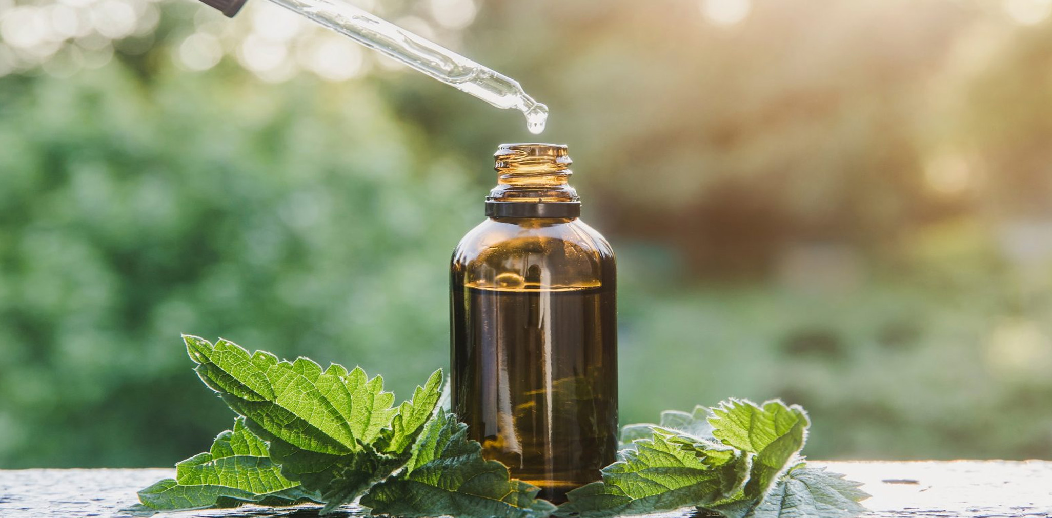 Ayurvedic Healthcare
